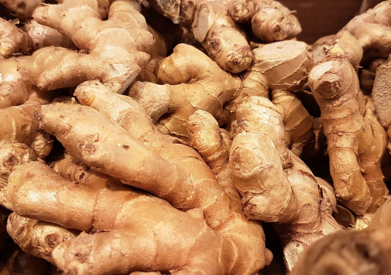 Ginger5