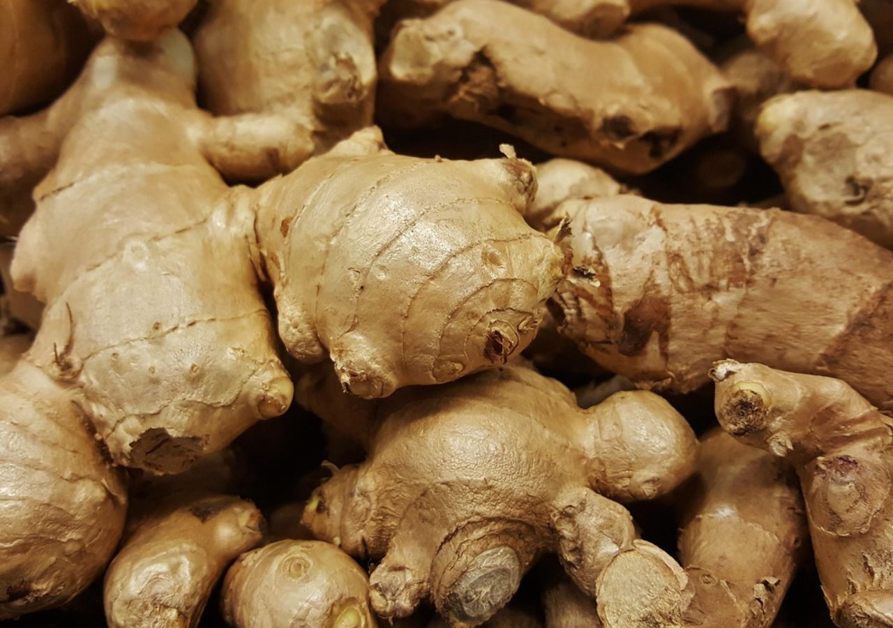 Ginger6