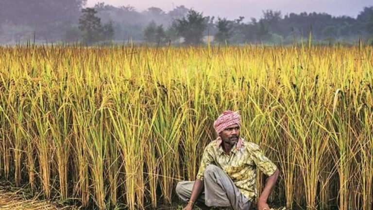 what will happen if a farmer fails to repay Kisan Credit Card debt? Know Strict Rules