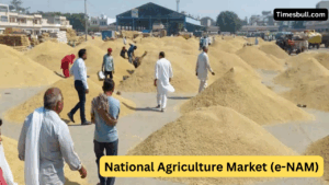 E-NAM Scheme: Farmers Can Sell Crops from Home for Big Profits – Know How to Apply