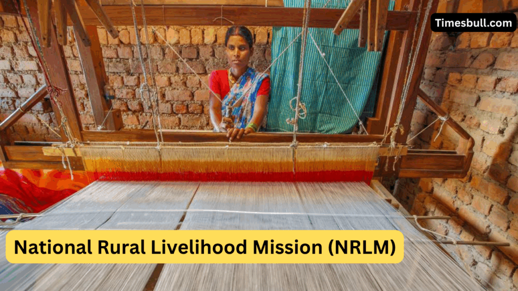 Women Becoming Self-Reliant Through NRLM – Know How They’re Getting Big Support