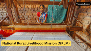 Women Becoming Self-Reliant Through NRLM – Know How They’re Getting Big Support