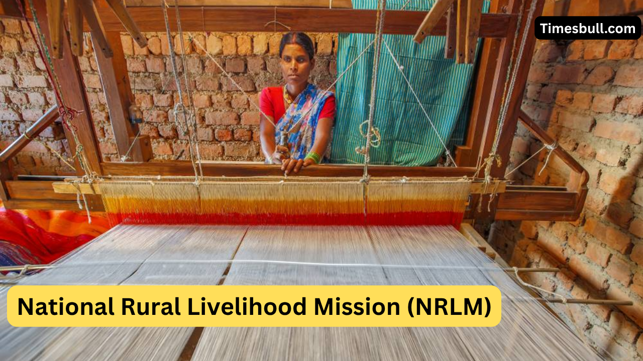 Women Becoming Self-Reliant Through NRLM...