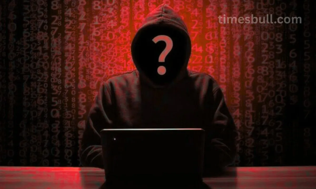 Online Kyc Fraud