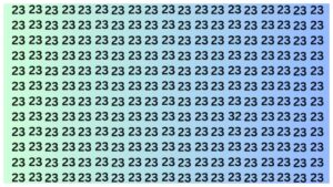 Optical illusion – Can You Find the 32 Among 23s in 5 Seconds?