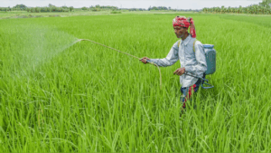 Pm Fasal Bima Yojana (2)