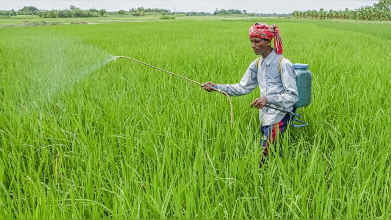 Pm Fasal Bima Yojana (2)