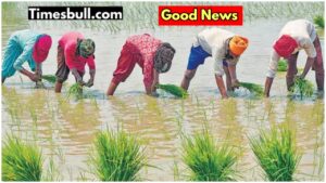 The government deposited money in the farmers’ account for crop loss, check it