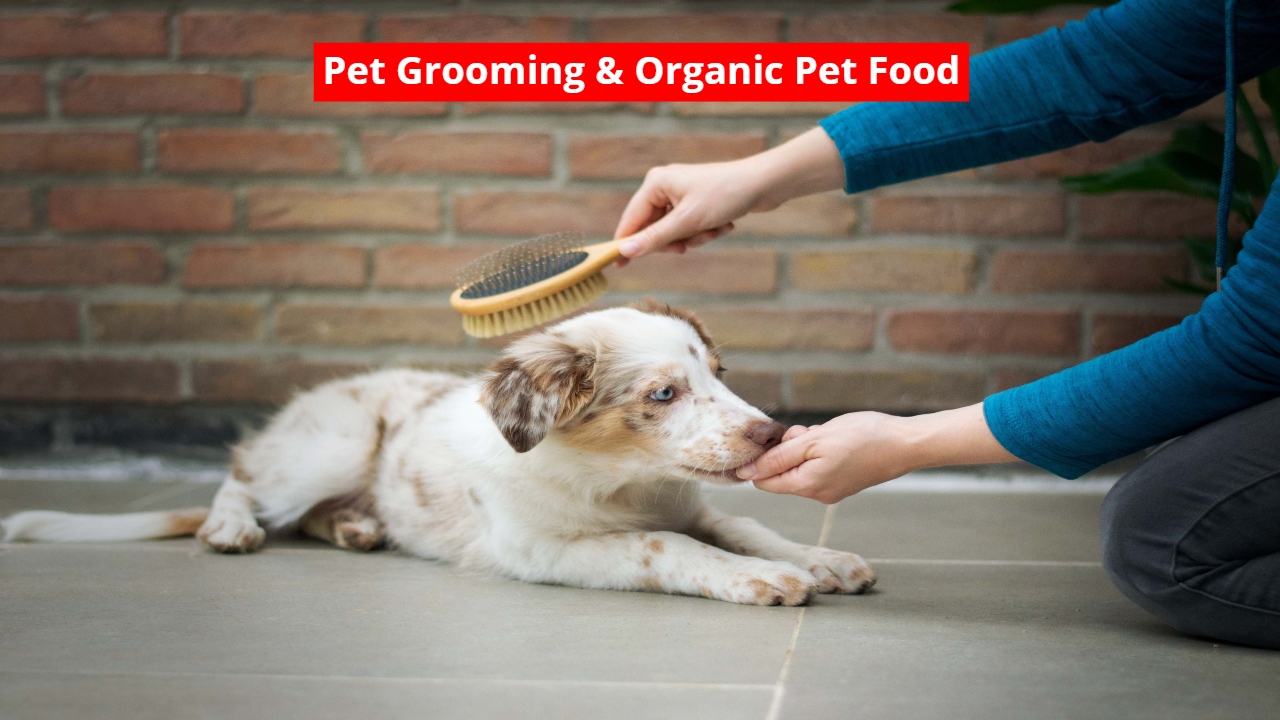 Pet Grooming & Organic Pet...