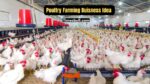 Poultry Farming