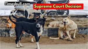 Supreme Court Relieves Dog Lovers: No Shelter Homes for Stray Dogs