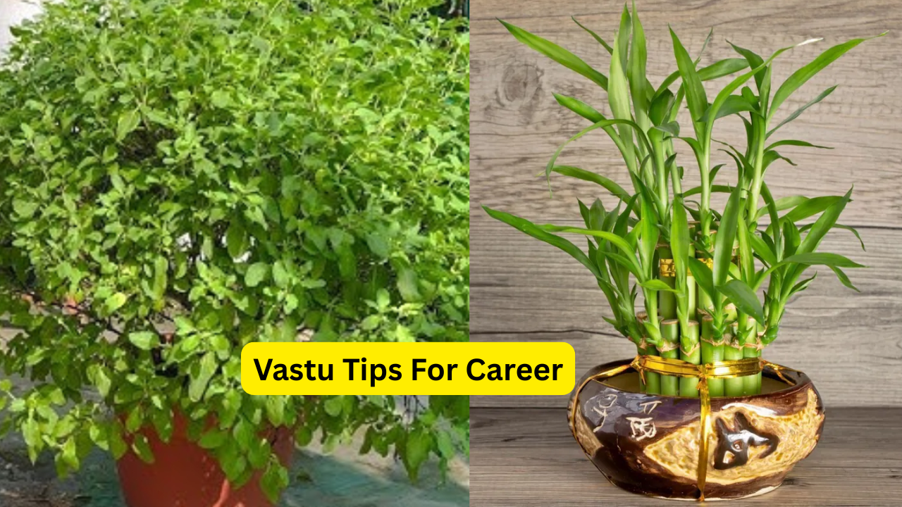 Office Vastu Tips: अपने