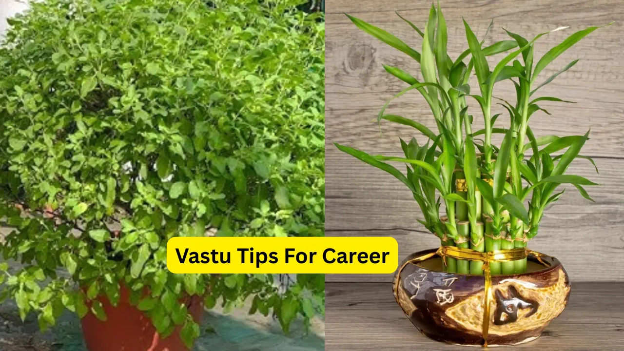 Vastu Tips For Career (2)