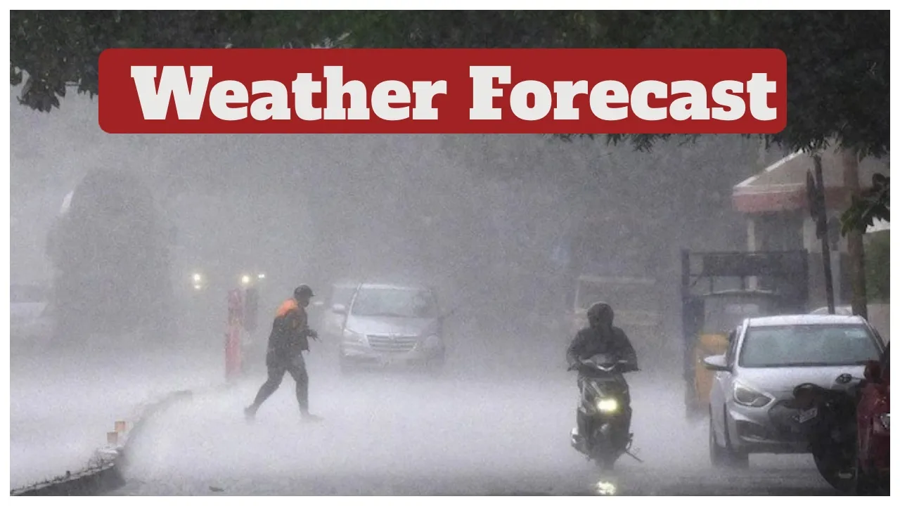 Weather Forecast