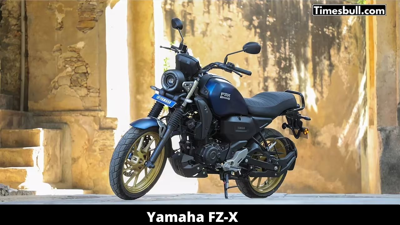 Yamaha FZ-X: Stylish Street