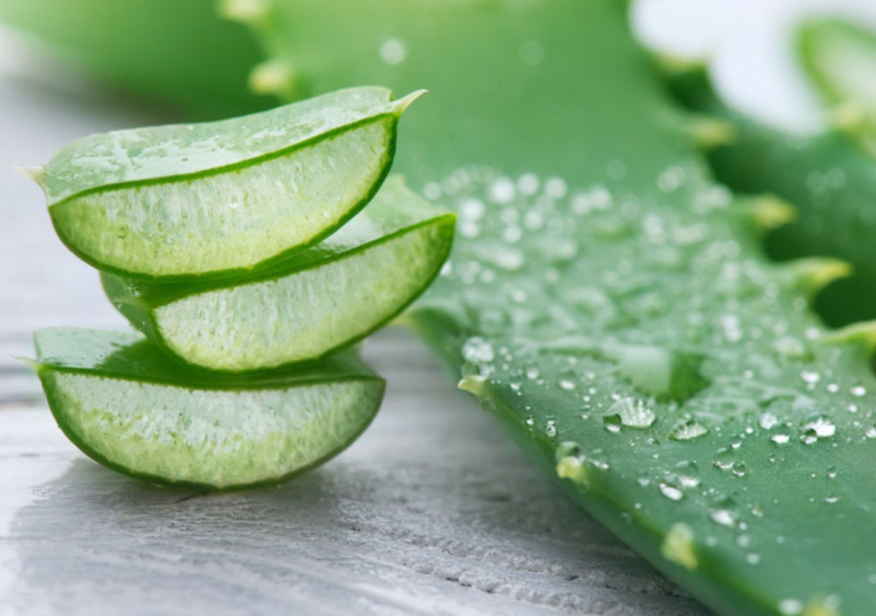 Aloe Vera: More Than a...
