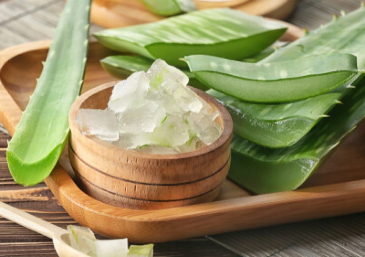 Aloe Vera: More Than a...