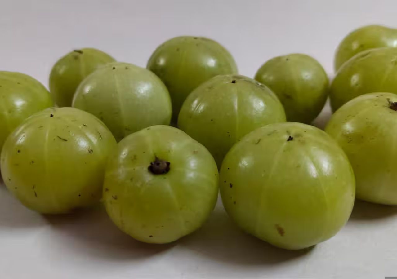 Beyond the Hype: A Practical...