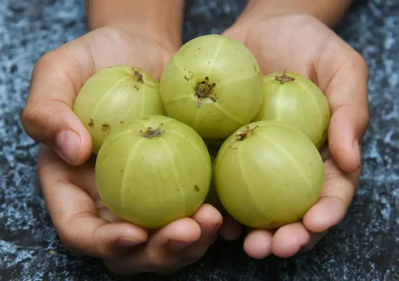 Beyond the Hype: A Practical...