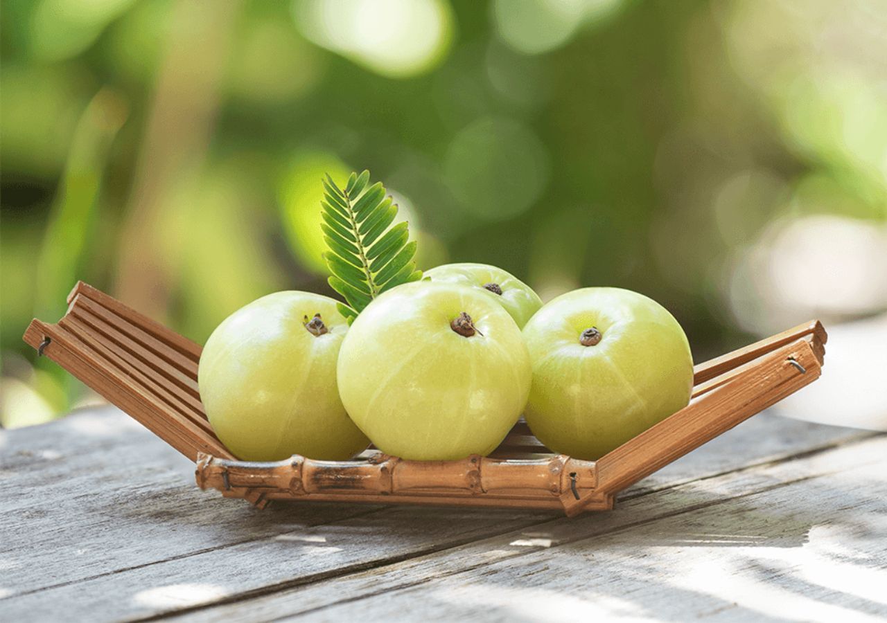 Beyond the Hype: A Practical...