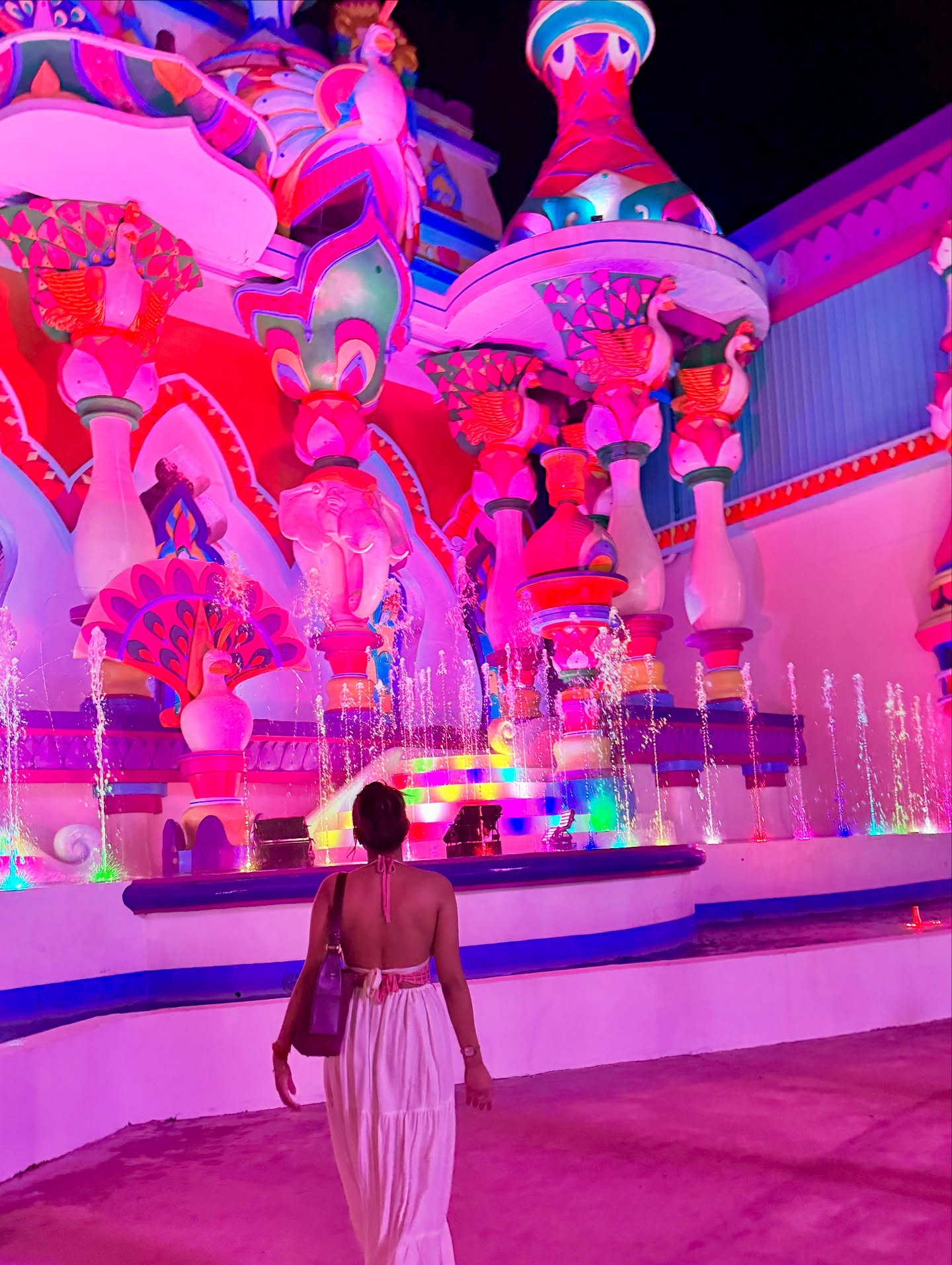 Anjali Arora Flaunts Her Toned...