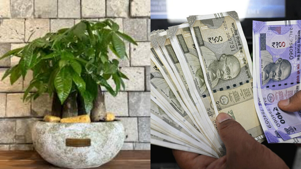 Business Idea- Start this powerfull business and earn with your two hands