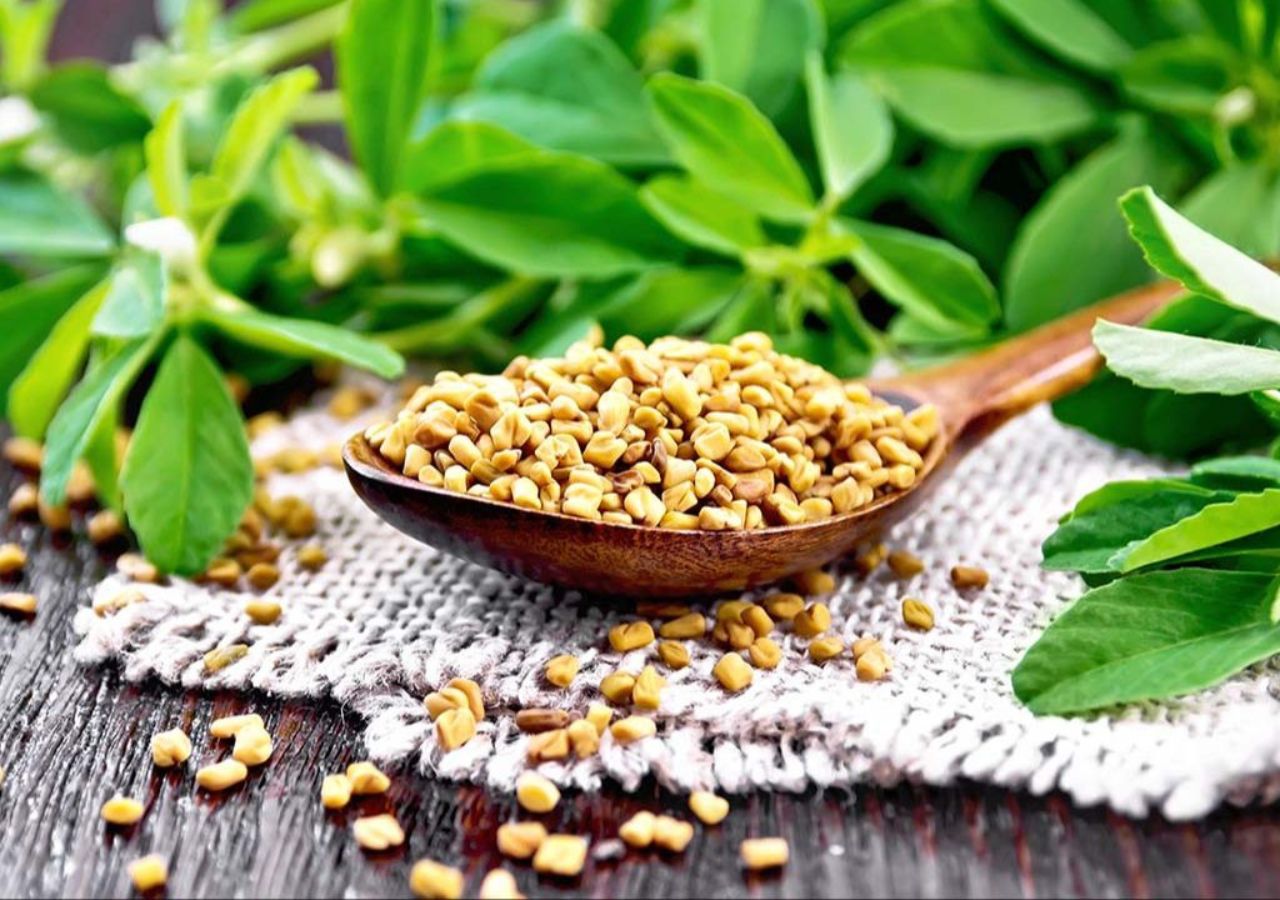 Methi: Unlocking the Ancient Secret...