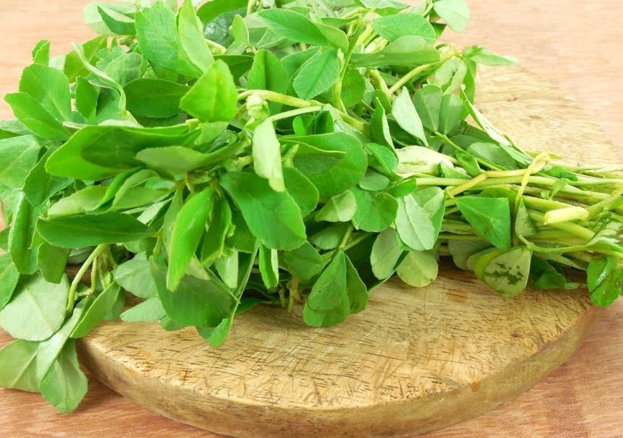 Methi: Unlocking the Ancient Secret...