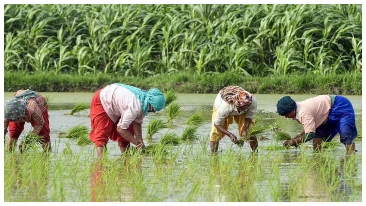 Pm Kisan 1