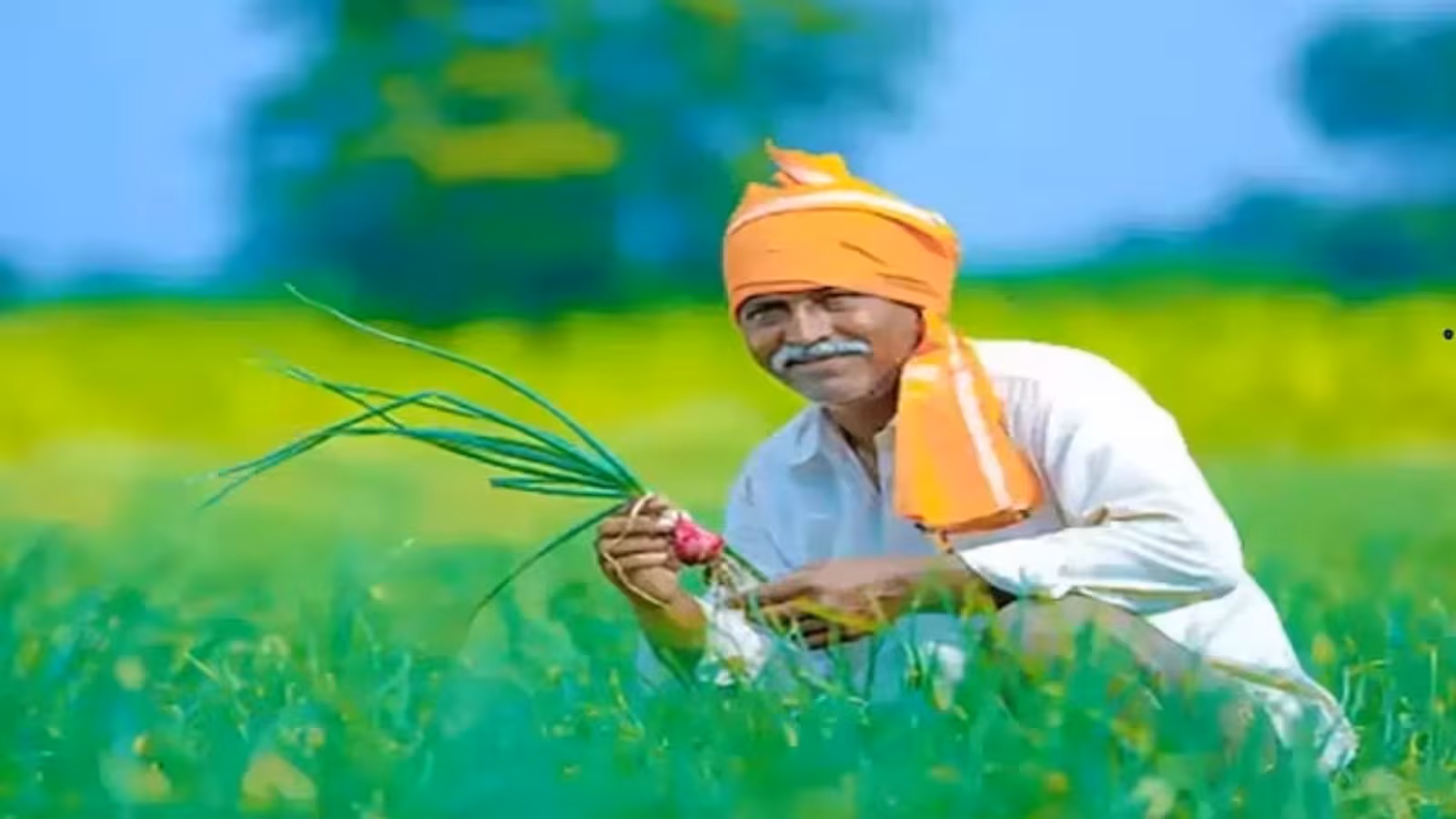 Pm Kisan 2025 04 18e1beb78b38883a26b8ad2621b01ce7
