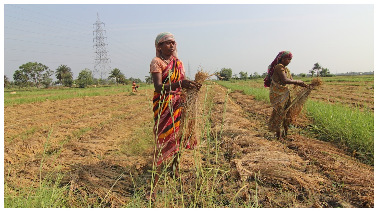 PM Kisan 21st Installment –...