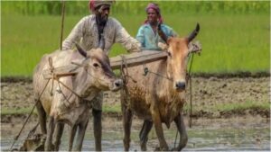 Pm Kisan Mandhan Yojana (3)