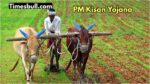 pm kisan yojana