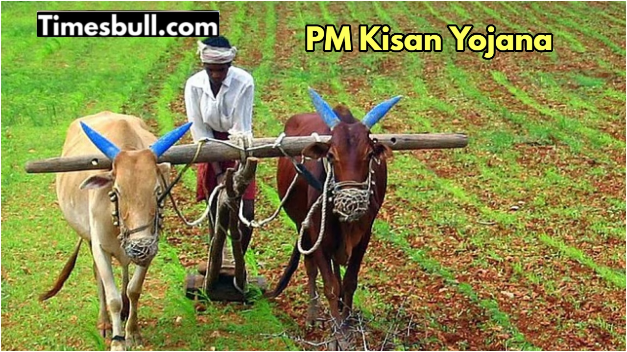 pm kisan yojana