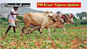 PM Kisan Yojana-These Common Errors Can Delay Your Next Installment — Check Now