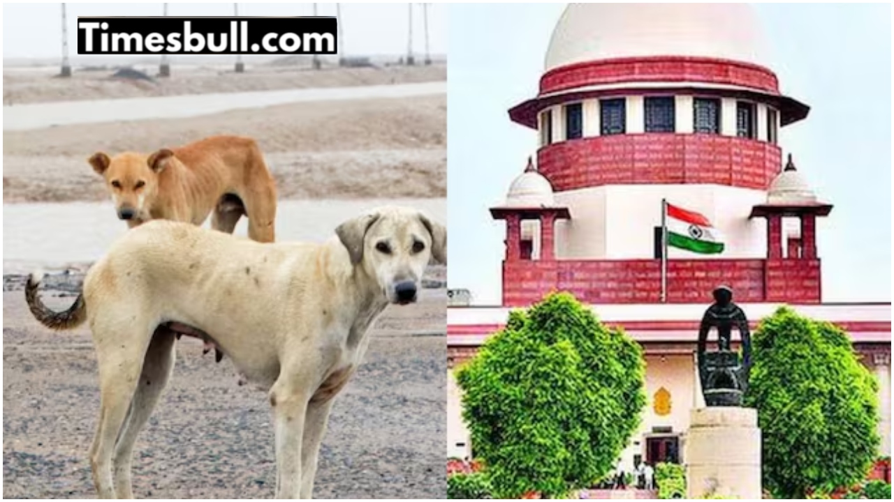 Supreme Court’s Stray Dog Order:...