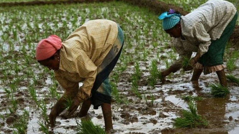 Iran–Israel War Hits Urea Production in India, Big news for farmers