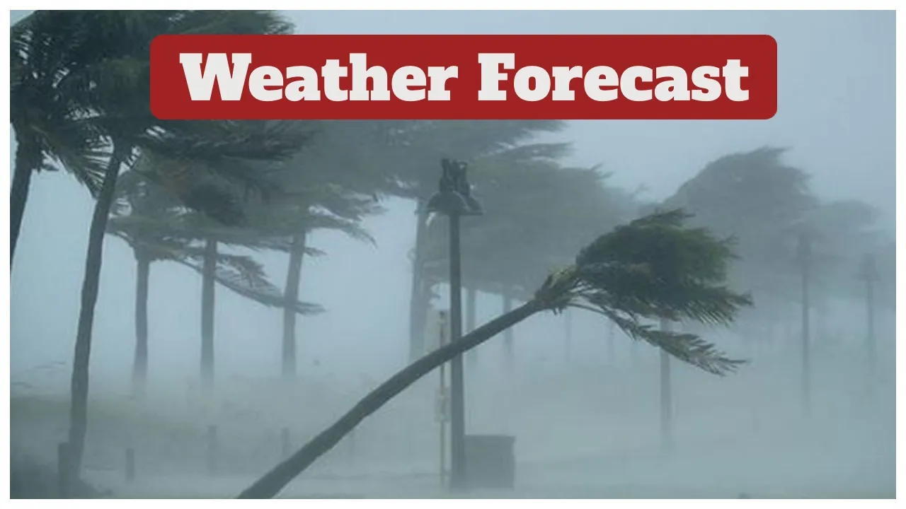 Weather Forecast