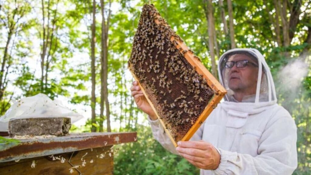 Beekeepers