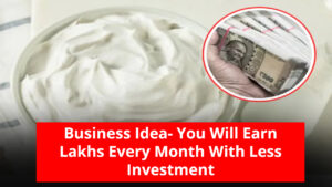 Business Idea: Village or City, This Great Business Runs Everywhere, You Will Earn Lakhs Every Month With Less Investment