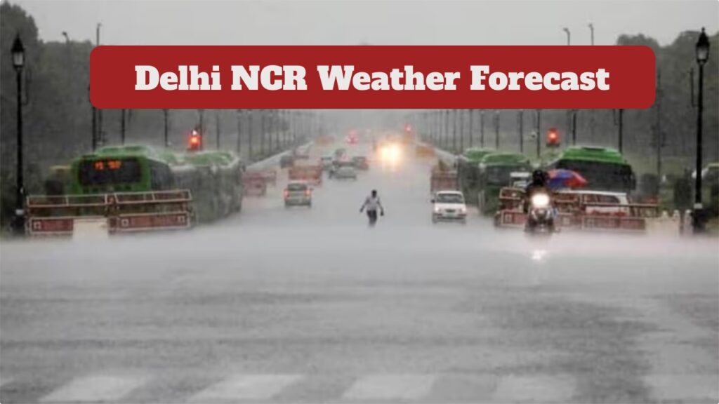 Delhi NCR Ka Mausam – IMD Predicts Light Rain, Check Here Delhi, Noida & Gurugram Weather