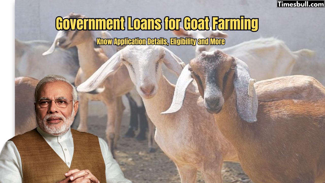 Government Loans for Goat