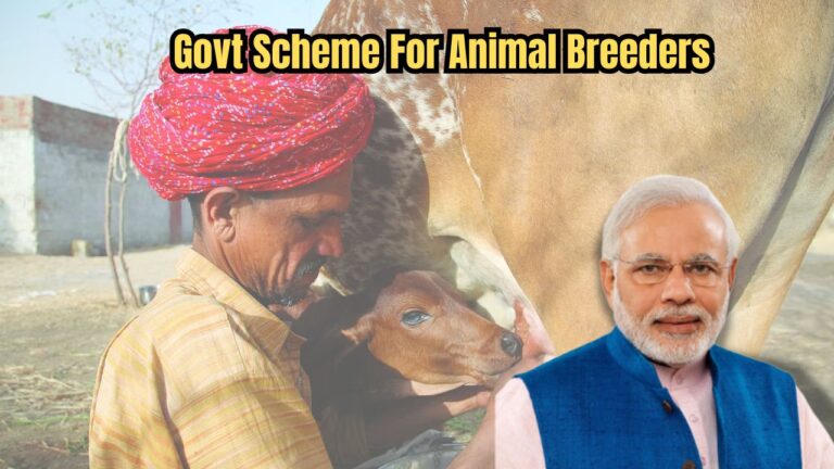 Animal Breeders to Receive Grants Up to ₹80,000 via DBT, Check Eligibility and Full Details