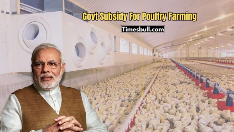 Poultry Farming: Rs 5 Lakh Govt Subsidy Available for Opening a Farm, Know How to Apply