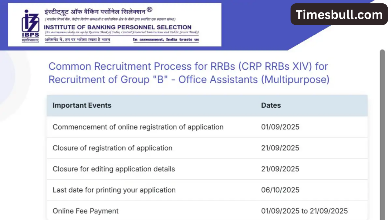 IBPS RRB 2025: 13,000+