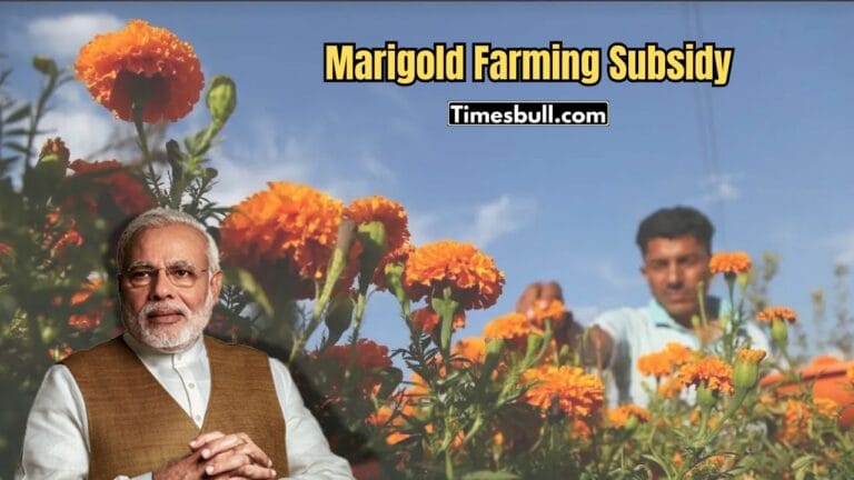 Marigold Farming Subsidy
