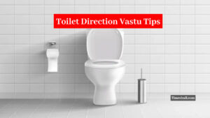 If The Toilet Seat is in This Direction, Then Financial Crisis Will Go Away From Life