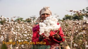 Big relief to textile exporters, no duty will be levied on cotton till December 31