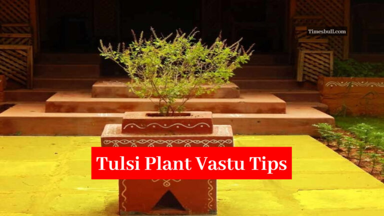 Tulsi Plant Vastu Tips