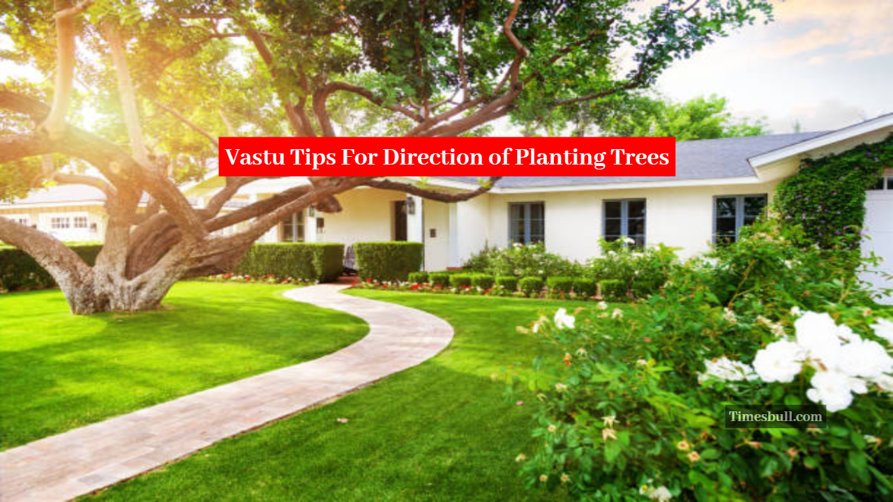 Vastu Tips For Direction of Planting Trees